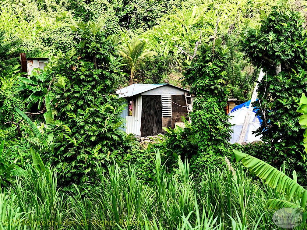 P1035003dominica-j1..jpg