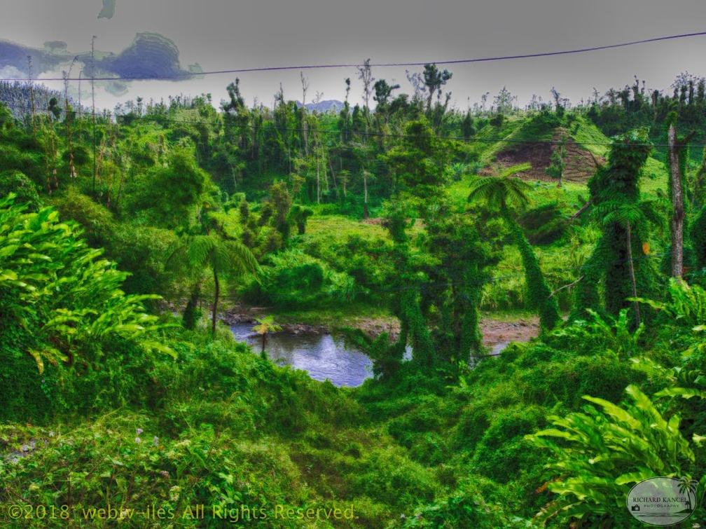 P1035014dominica-j1..jpg