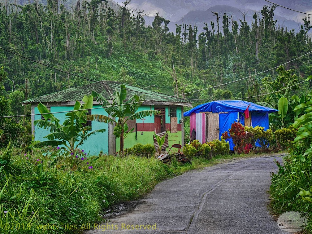 P1035016dominica-j1..jpg