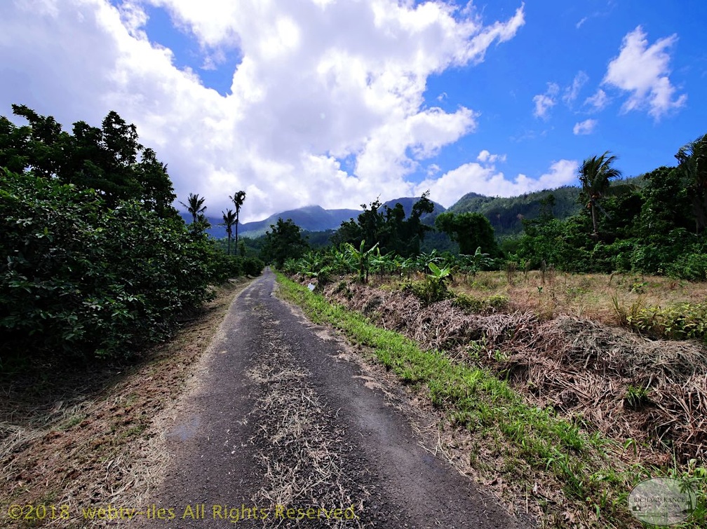 P1035097dominica-j3..jpg