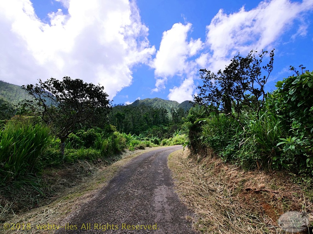P1035105dominica-j3..jpg