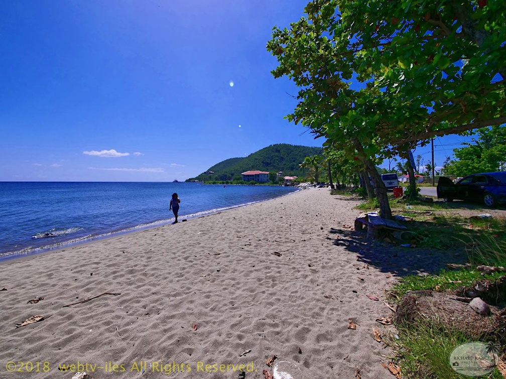 P1035145dominica-j3..jpg