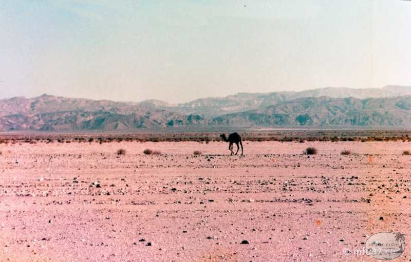 egypte-22.jpg