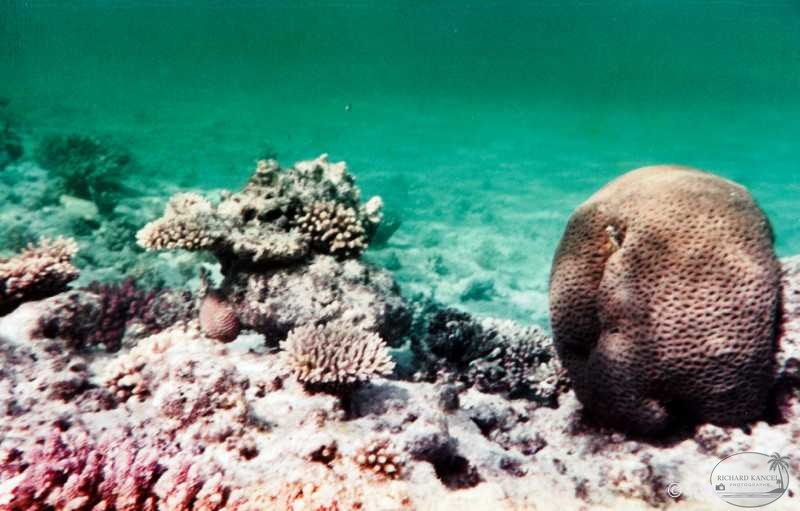 egypte-51.jpg