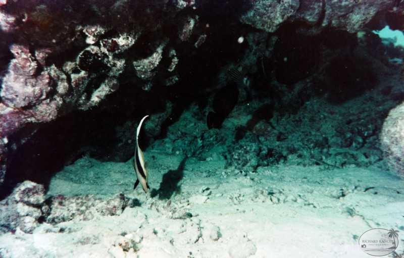 egypte-52.jpg