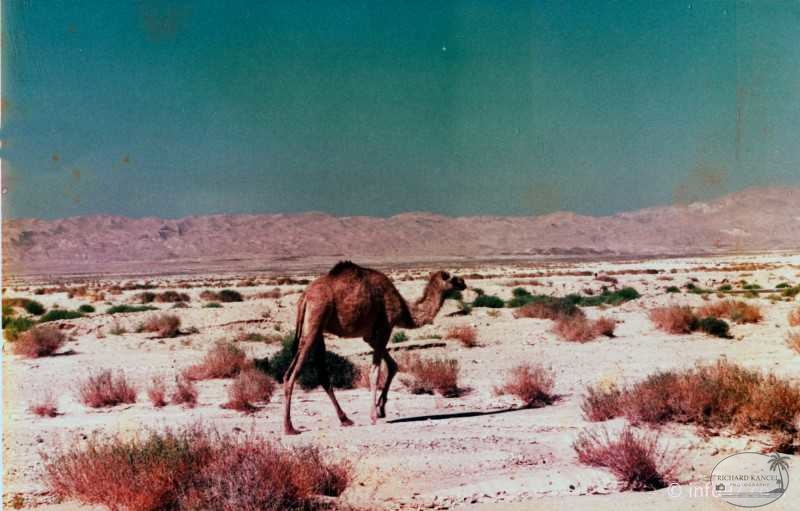 egypte-33.jpg