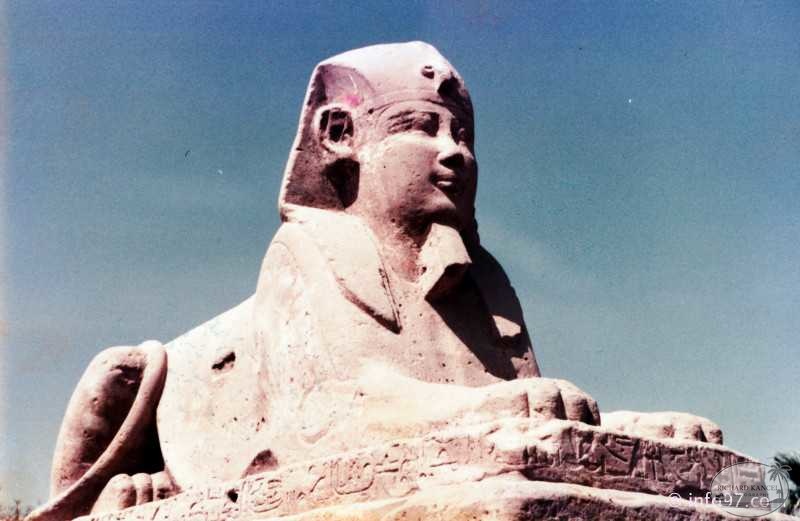 egypte-43.jpg