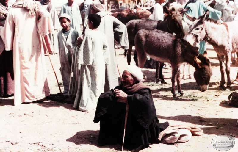 egypte-64.jpg