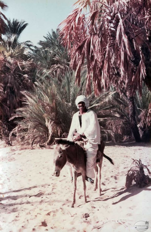egypte-b-14.jpg