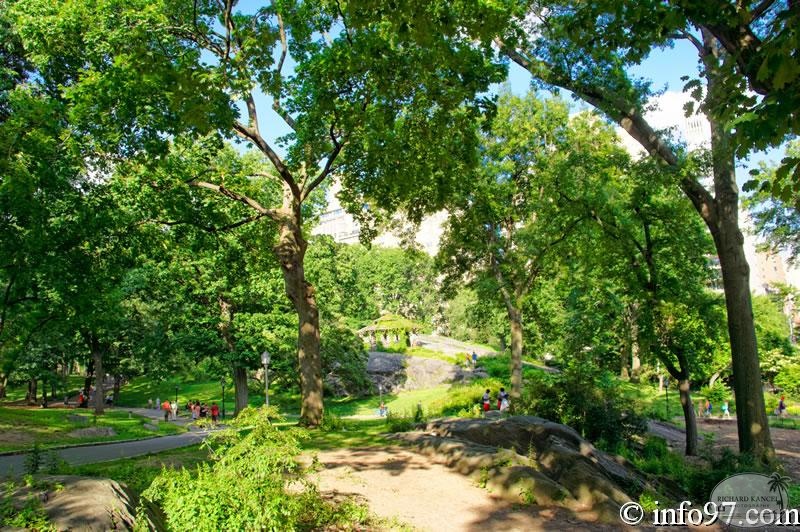 DSC04588-central-Park.jpg