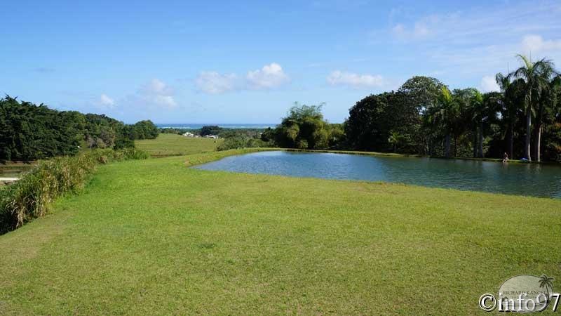 jardin-eau-69.jpg