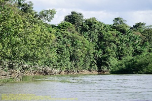 guyane20-st-laurent-fleuve