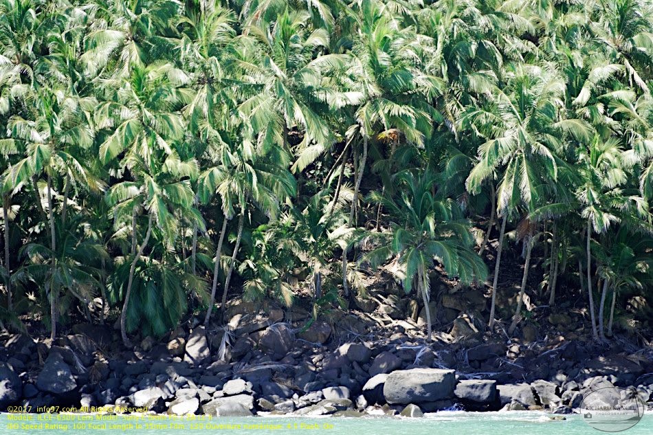 guyane005-iles-du-salut.jpg