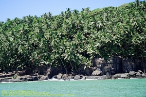 guyane009-iles-du-salut