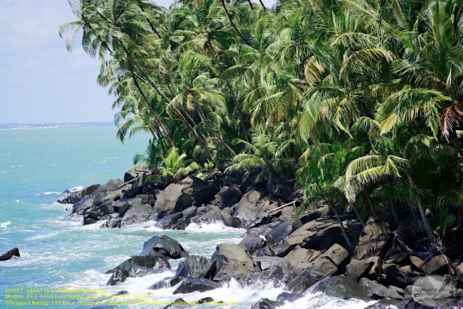 guyane040-iles-du-salut.jpg