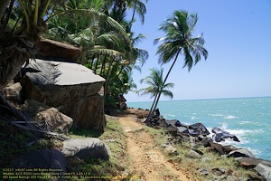 guyane044-iles-du-salut