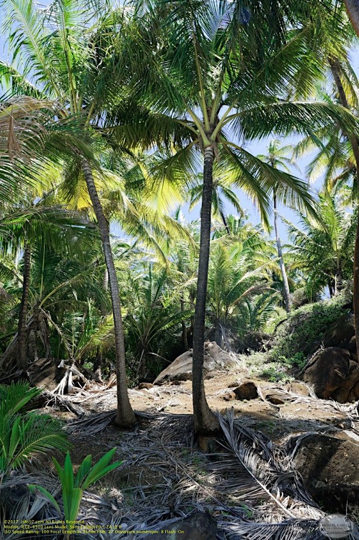 guyane045-iles-du-salut.jpg