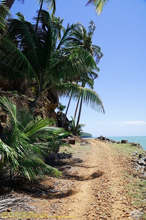 guyane049-iles-du-salut.jpg