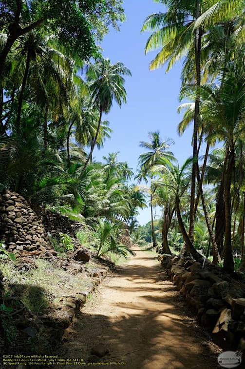 guyane059-iles-du-salut.jpg