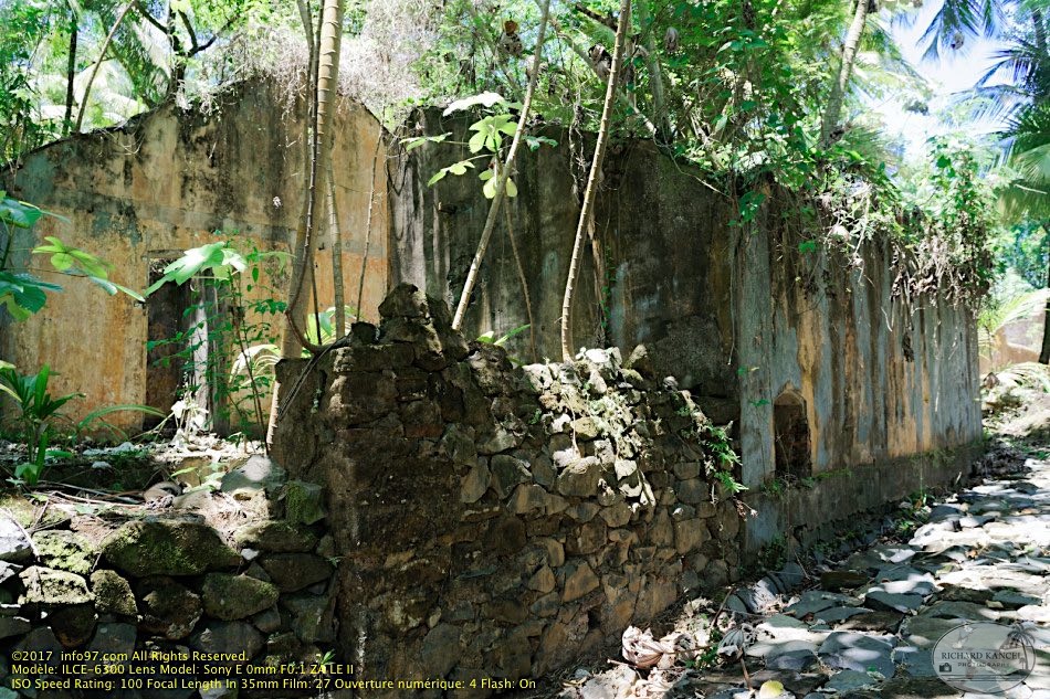 guyane063-iles-du-salut.jpg