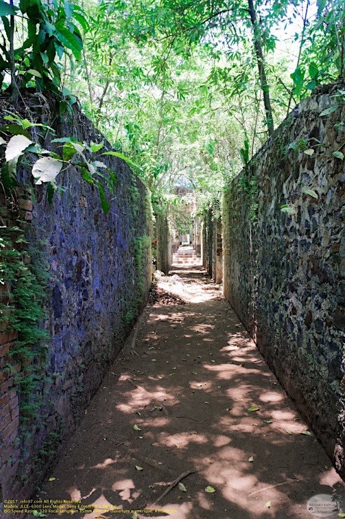 guyane069-iles-du-salut.jpg