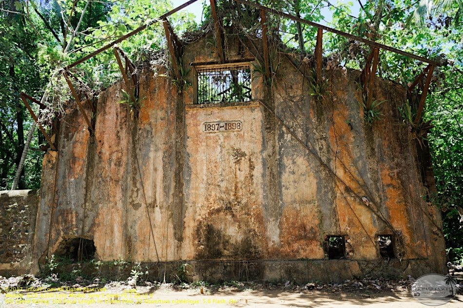 guyane072-iles-du-salut.jpg