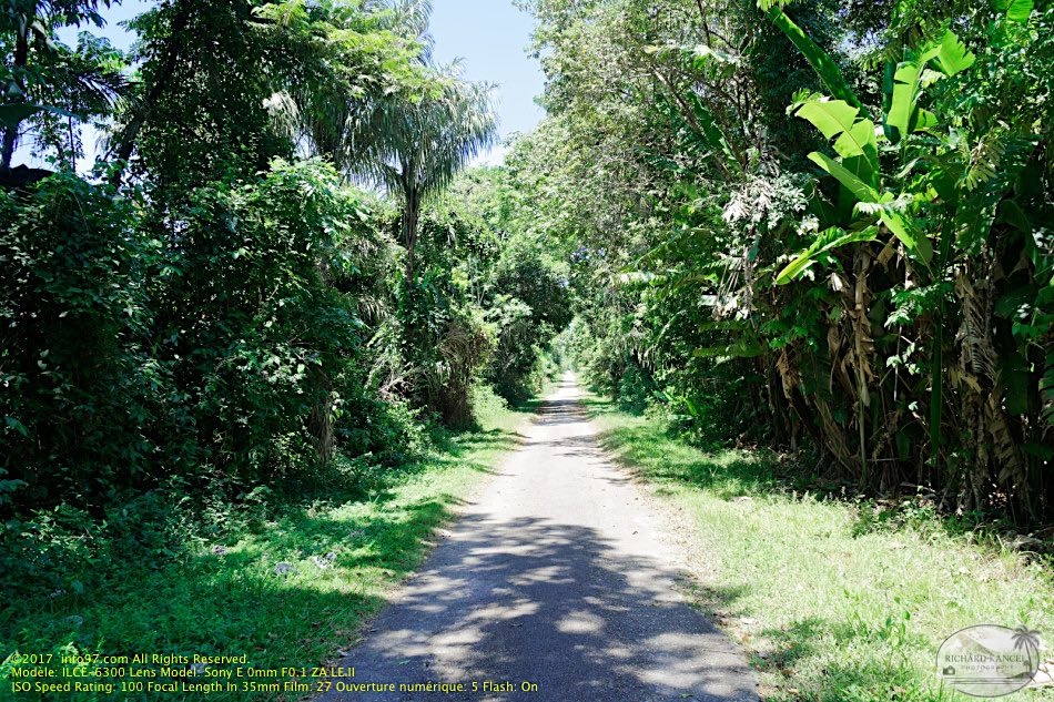 guyane002-marais-kaw.jpg