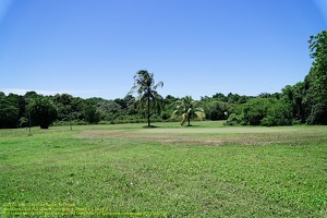guyane004-marais-kaw