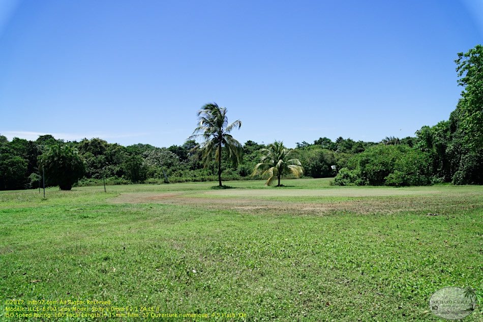 guyane004-marais-kaw.jpg