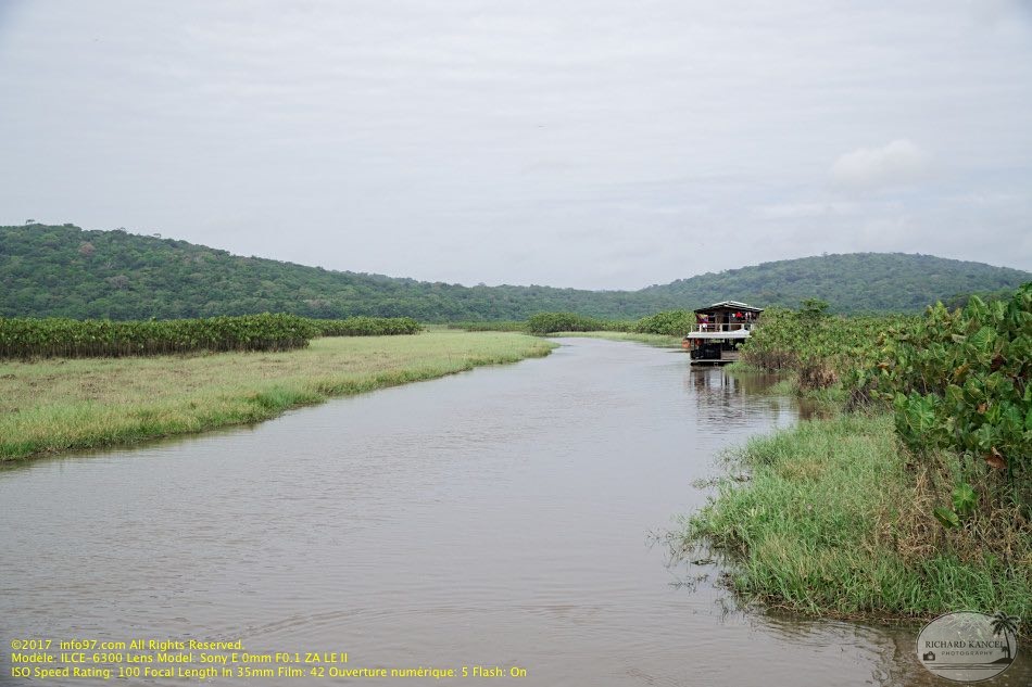 guyane005-marais-kaw.jpg