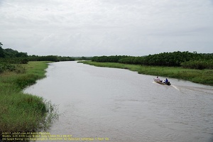 guyane006-marais-kaw