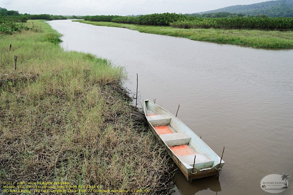guyane007-marais-kaw.jpg