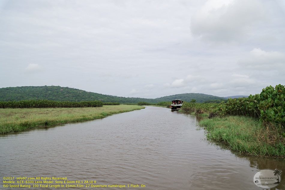 guyane010-marais-kaw.jpg