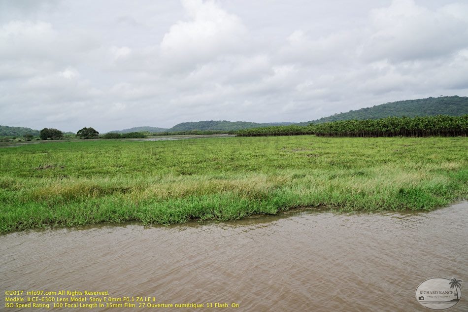 guyane012-marais-kaw.jpg