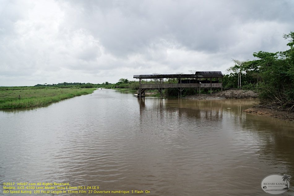 guyane017-marais-kaw.jpg