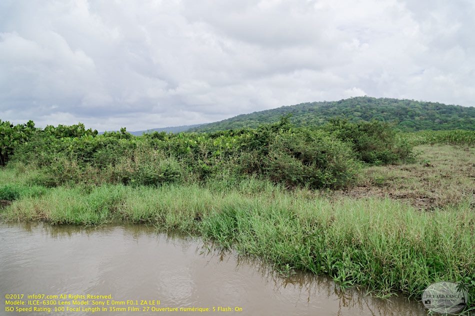 guyane023-marais-kaw.jpg