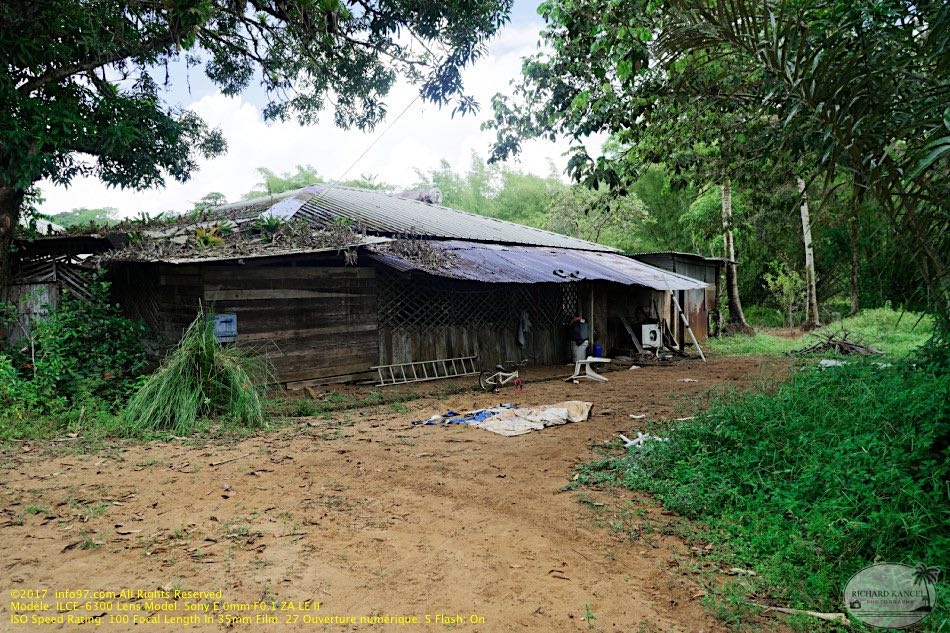 guyane026-marais-kaw.jpg