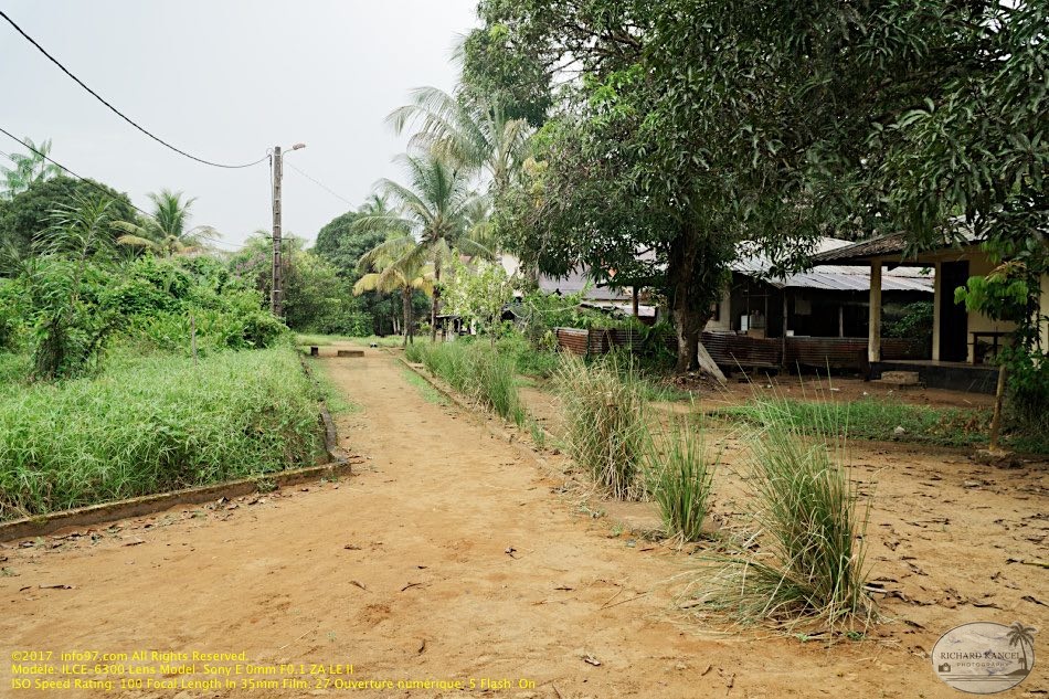 guyane027-marais-kaw.jpg