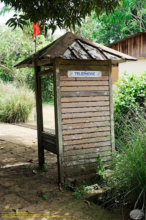 guyane031-marais-kaw.jpg