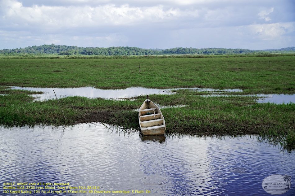 guyane063-marais-kaw.jpg