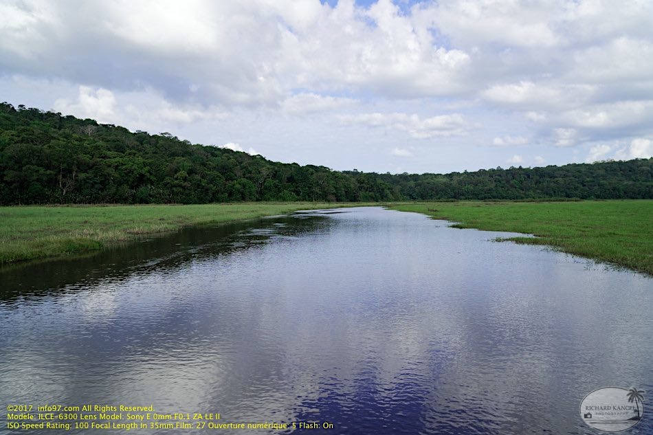 guyane064-marais-kaw.jpg