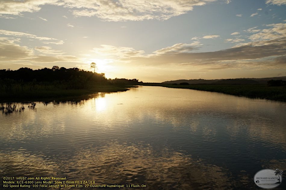 guyane074-marais-kaw.jpg