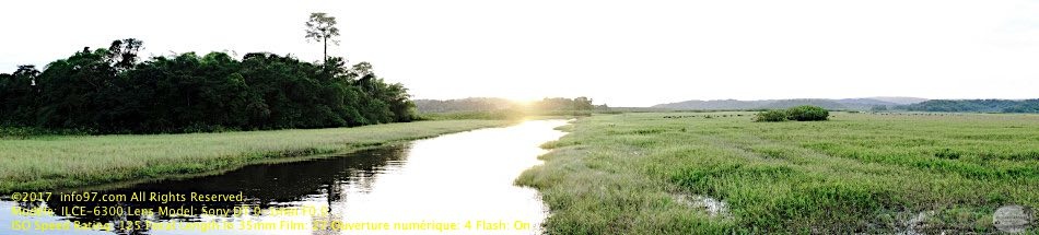 guyane077-marais-kaw.jpg