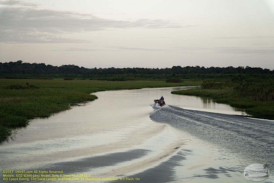 guyane081-marais-kaw.jpg