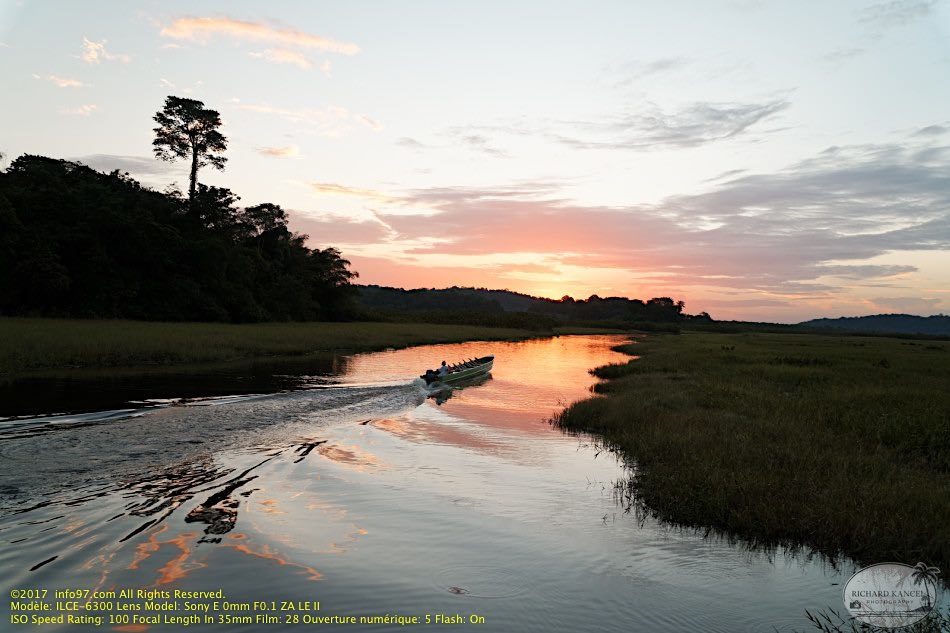 guyane082-marais-kaw.jpg