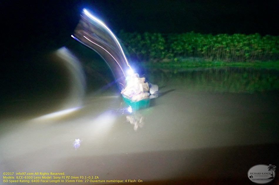 guyane085-marais-kaw.jpg