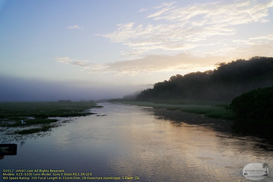 guyane094-marais-kaw.jpg