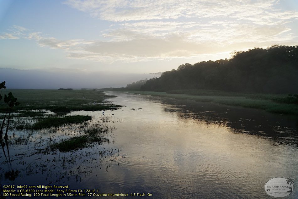 guyane100-marais-kaw.jpg