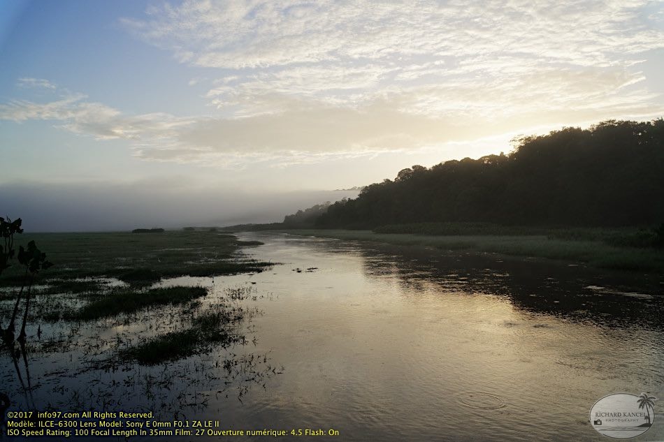 guyane103-marais-kaw.jpg