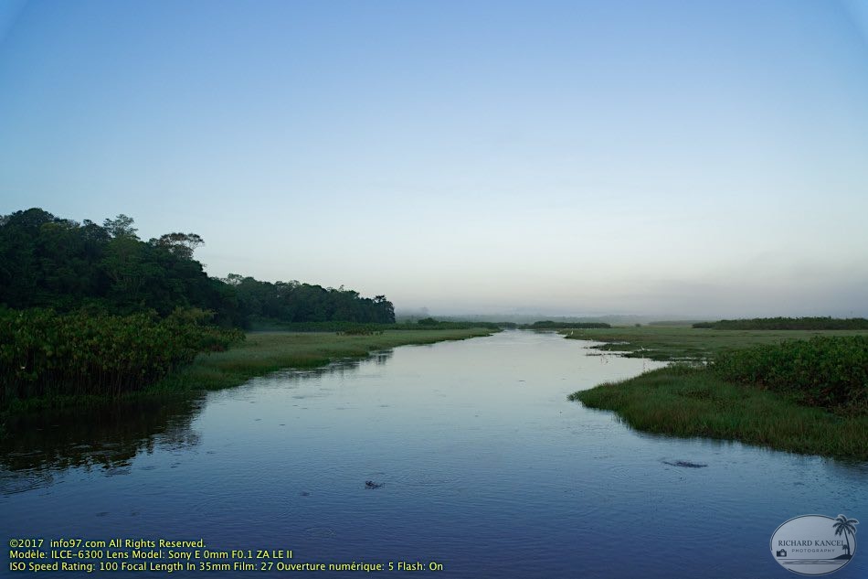 guyane104-marais-kaw.jpg